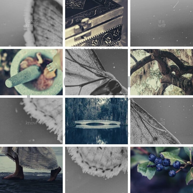 Viola - gratisography